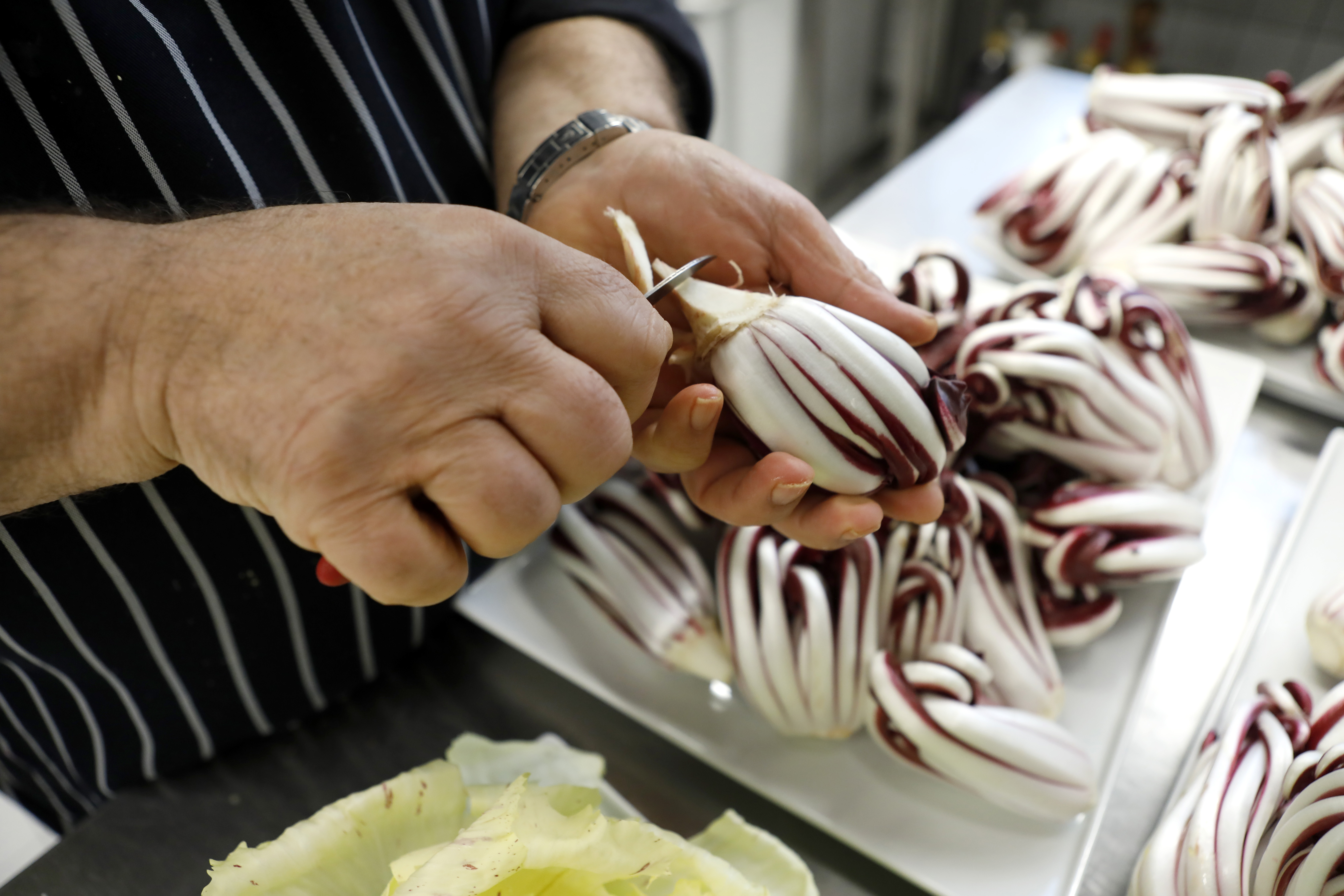 Radicchio Italiano protagonista a Monaco: Un successo per la MasterClass