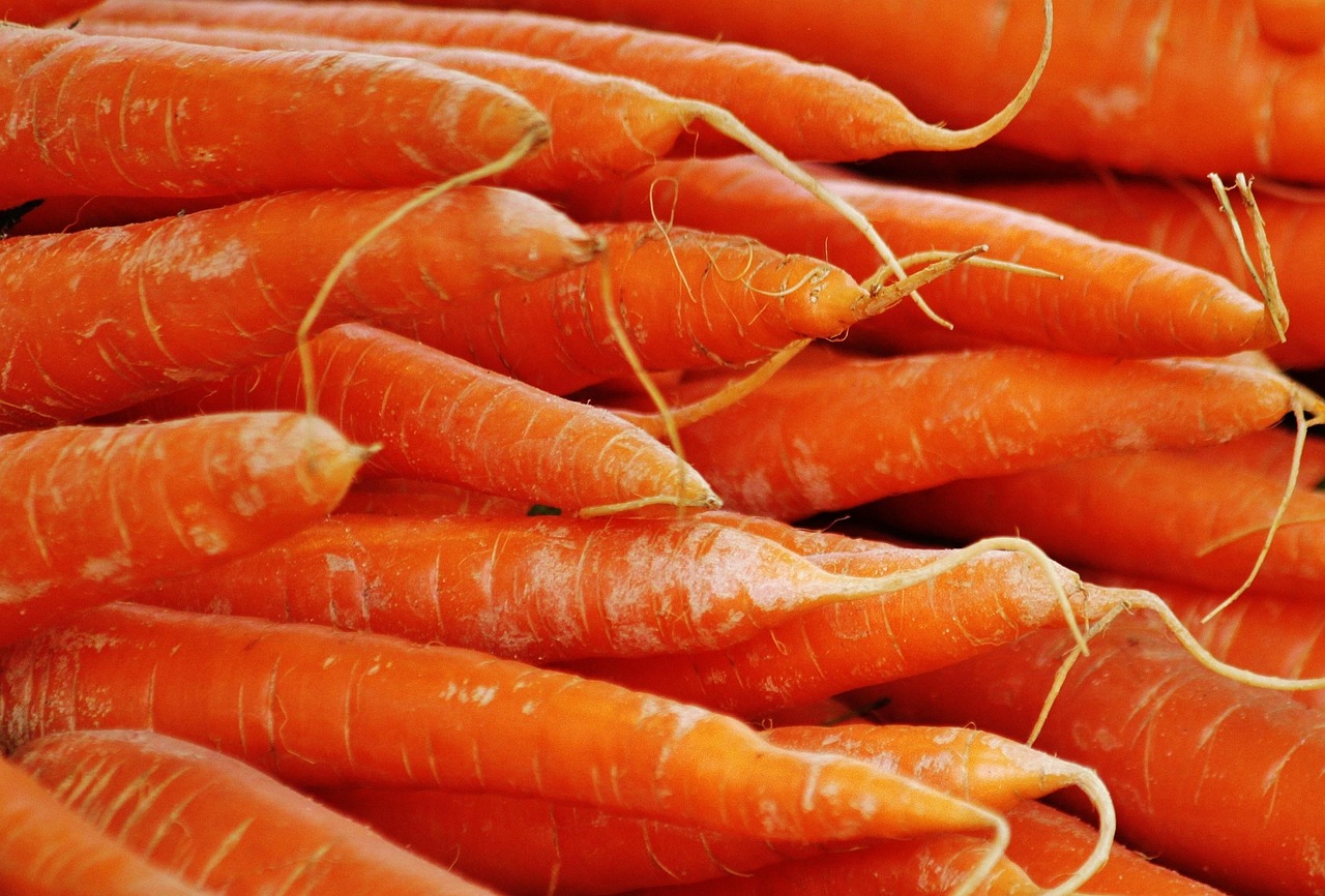 La Giardiniera Piemontese: dalle tavole contadine alle cucine del Mondo